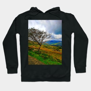 The Ladies View, Ring of Kerry Hoodie